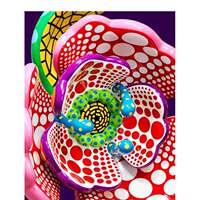 Yayoi Kusama: Infinity Mirrors Original English art book collection by Yayoi Kusama thumbnail 2