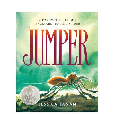 【预售】跳跃者：蜘蛛在后院跳跃的一天 Jumper: A Day In The Life Of A Backyard Jumping Spider 原版英文儿童绘本