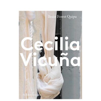 【现货】Hyundai Commission: Cecilia Vicuna，现代委托:智利艺术家塞西莉亚·维纳 奇普装置展
