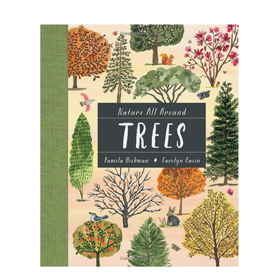 大自然就在身边树木英文儿童