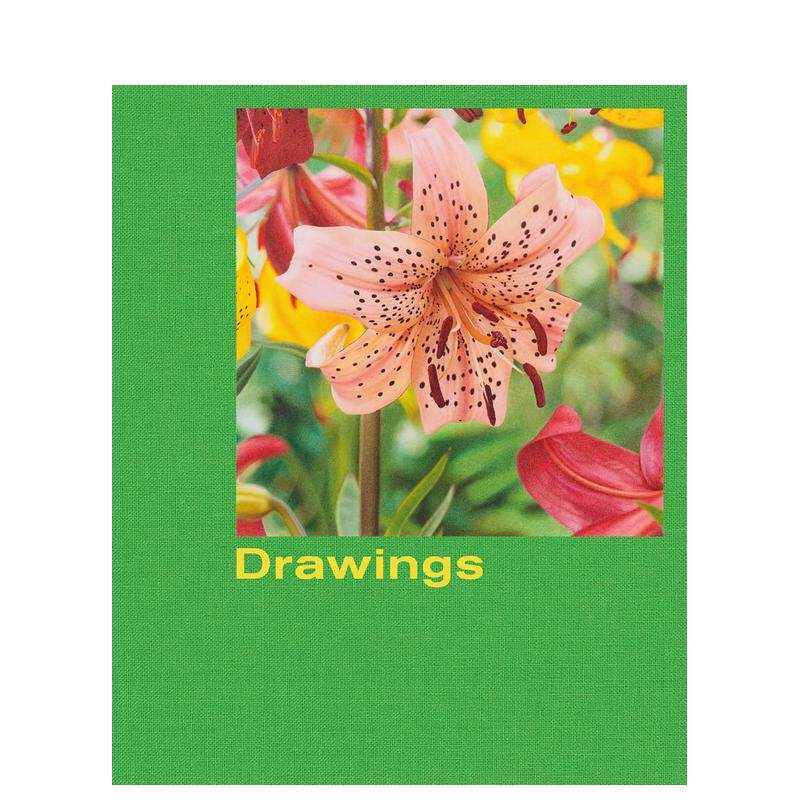 【预售】Mathew Cerletty: Drawings 马修·瑟莱蒂铅笔画艺术绘画作品集 英文原版进口画册 善本图书