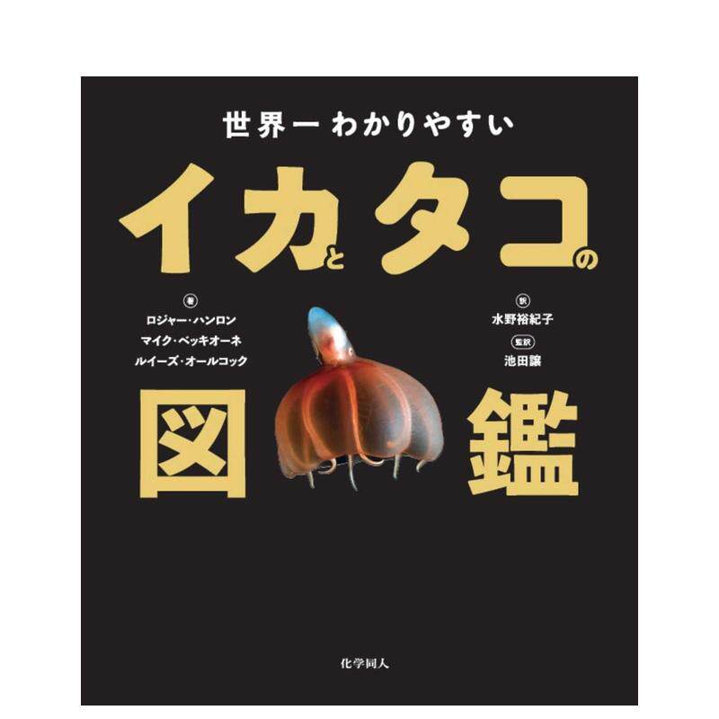 【预售】世界乌贼与章鱼图鉴 世界一わかりやすいイカとタコの図鑑 日文原版进口外版图书
