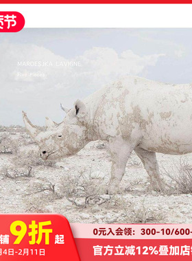 【预售】Maroesjka Lavigne：某人、某地、某时 Maroesjka Lavigne: Someone  Somewhere  Sometime 原版英文摄影作品集