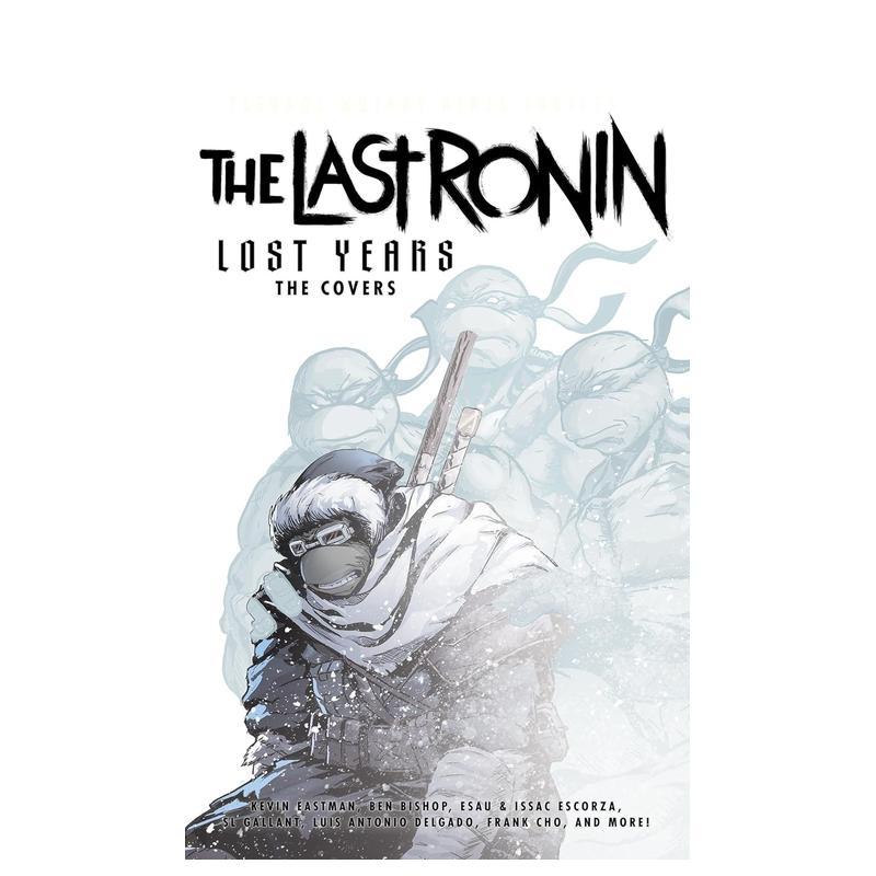 忍者神龟：最后的浪人失落岁月