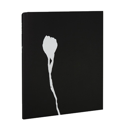 【预售】Nausea恶心眩晕 摄影师Ron Jude单调空间和物体视觉传达作品集 英文原版进口画册善本图书MACK出版