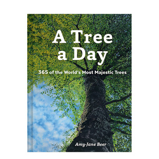 善本图书 进口生活 Jane 现货 一日一树 Beer Tree 英文原版 Day Chronicle Amy