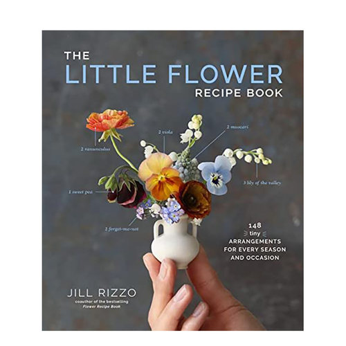 小花插花指南英文生活综合