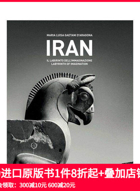 【现货】伊朗:想象力的迷宫 Iran：Labyrinth of Imagination英文摄影原版图书进口书籍Maria Luisa Gaetani