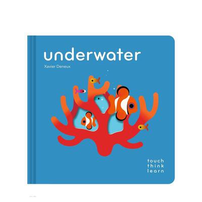 【预售】【触摸书】水下世界 【TouchThinkLearn】Underwater 原版英文儿童趣味
