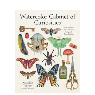 【现货】奇珍异宝：完美描绘奇异昆虫、古董及其他奇异之物的水彩画 Watercolor Cabinet of Curiosities 原版英文艺术画册画集
