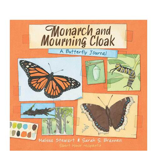【现货】蝴蝶观察日记 Monarch and Mourning Cloak: A Butterfly Journal 原版英文儿童绘本 善本图书