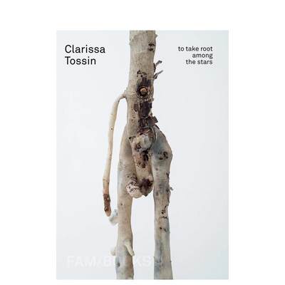 【预售】在星空中扎根 Clarissa Tossin: To Take Root among the Stars 原版英文艺术画册画集 善本图书