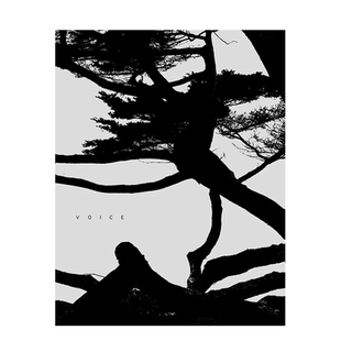 【现货】李俊金:声音 Jungjin Lee:Voice 英文进口原版摄影艺术摄影集画册 善本图书