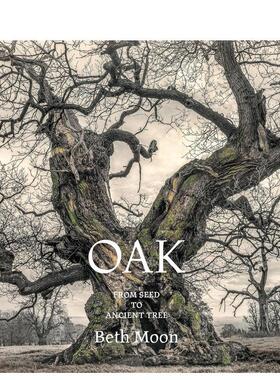 【预售】橡树：从种子到古树 Oak: From Seed to Ancient Tree 原版英文摄影作品集自然景观 善本图书