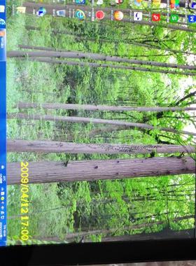 ELO17寸触控屏幕   ET1790L-2UWB-0-MT-议价商品