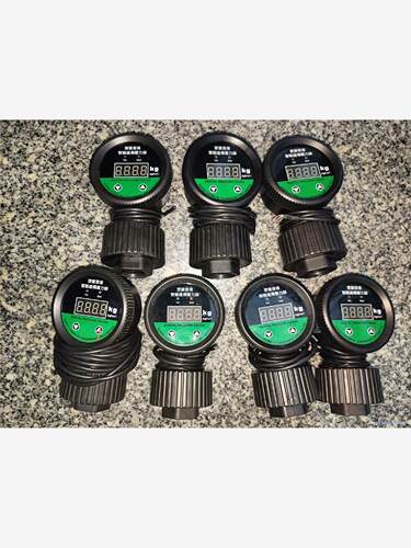 智能远传压力PDP-GC25A-B100G4-S12LMD议价商品
