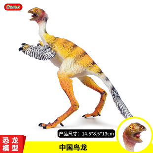 仿真中华鸟龙大号羽王龙恐龙塑胶模型中国鸟龙动物玩具摆件礼物