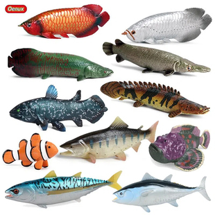 仿真海洋生物金枪鱼玩具飞鱼苏眉鱼实心海底动物塑胶儿童认知礼物