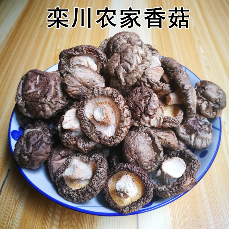 2019 Funiu Mountain specialty Luanchuan Farm Production Mushroom mushrooms Mushrooms Thick mushroom dried food 500g Baggedin the Agri rice/Dried foods/Condiment , Dried foods/Meat Dry , Dry/Native , Mushroom category  category - from Buy2taobao.com to provide professional Taobao agent buy service