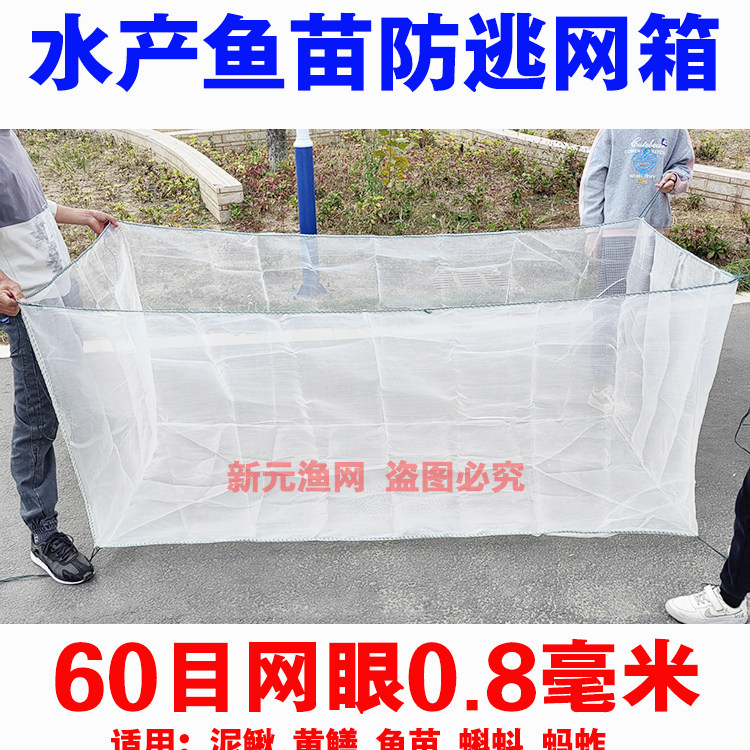 60目泥鳅黄鳝苗养殖网箱龙虾牛蛙水蛭蚂蚱昆虫鱼苗养鱼防逃网箱