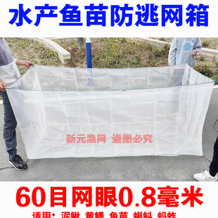 60目泥鳅黄鳝苗养殖网箱龙虾牛蛙水蛭蚂蚱昆虫鱼苗养鱼防逃网箱