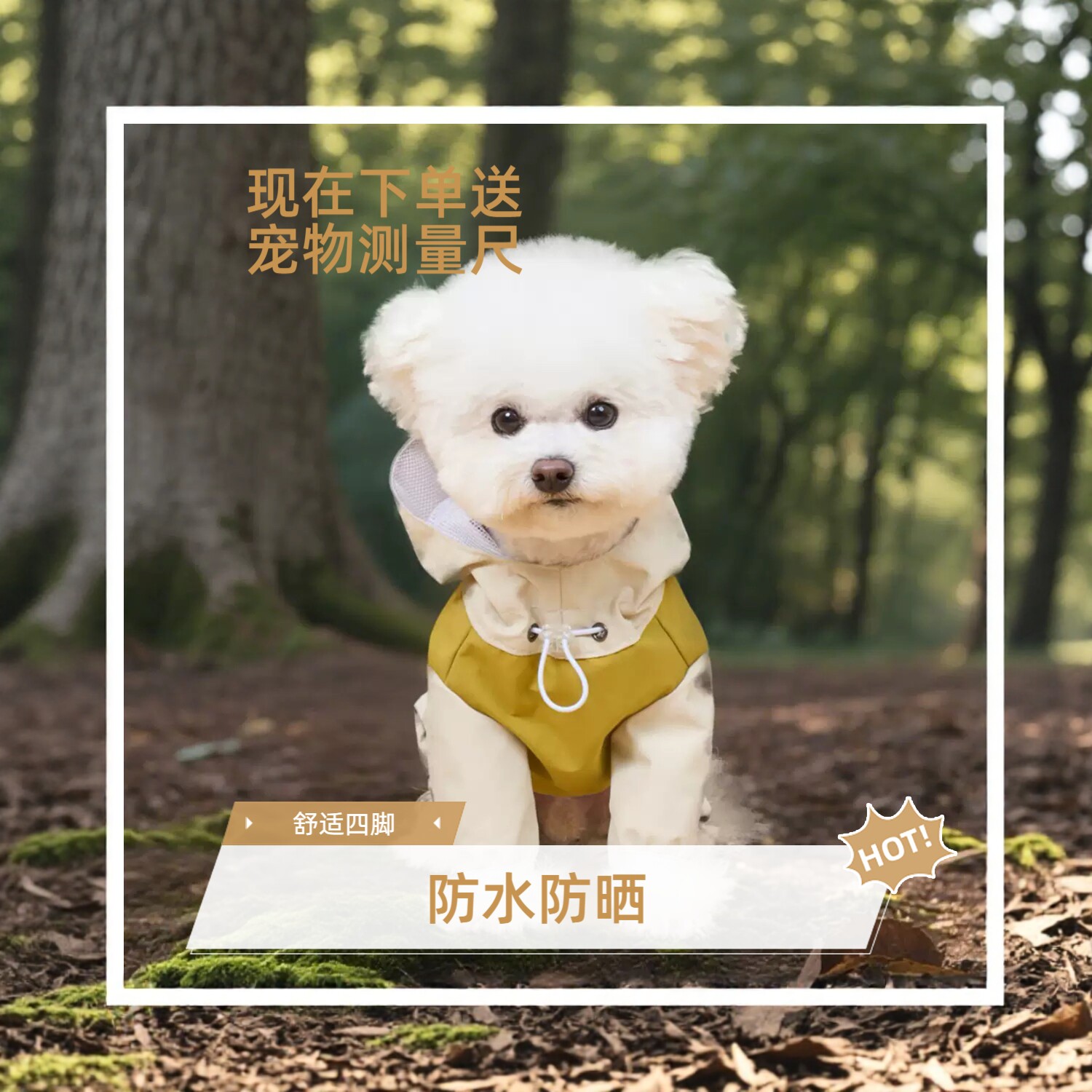 宠物狗狗衣服秋冬款泰迪比熊博美小型犬猫咪秋冬款保暖卫衣冲锋衣