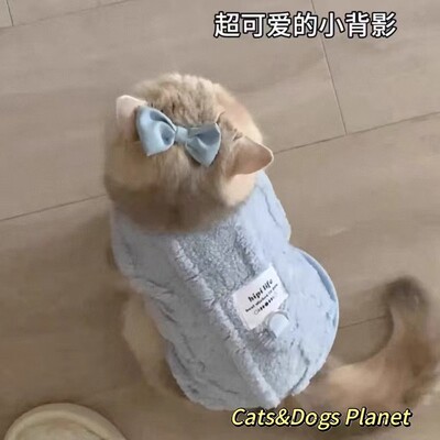 宠物猫咪衣服秋冬2025新款可牵引保暖加绒背心金渐层布偶小猫冬装