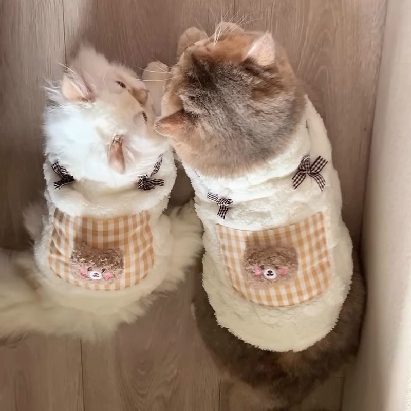 可爱口袋熊款背心绒衣布偶小猫银渐层幼猫宠物衣服加厚保暖秋冬装