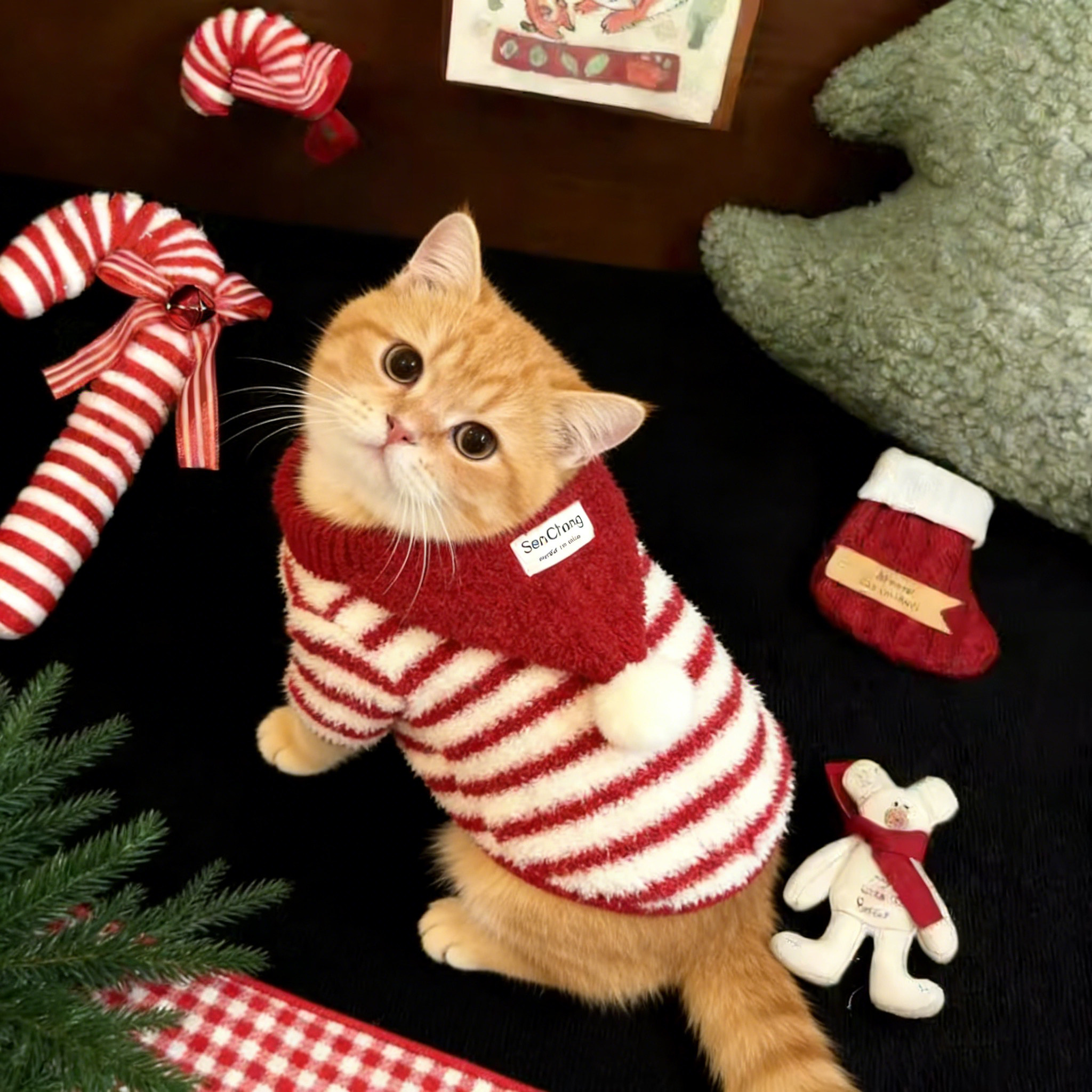 冬季新款小猫咪衣服金渐层布偶蓝猫喜庆新年宠物保暖绒衣马甲棉衣,宠物/宠物食品及用品,猫宠物服装/雨衣（新）,淘宝优惠券,粉丝福利购,淘宝优惠卷