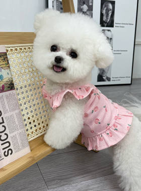 夏季薄款宠物泰迪比熊小型犬雪纳瑞马尔济斯狗狗衣服防掉毛小吊带