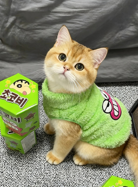 小猫咪衣服冬季金银渐层布偶小猫英短幼猫宠物绿色保暖加绒秋冬装