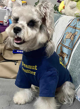 宠物狗狗蓝色T恤衣服夏季薄款字母印花背心防掉毛小型犬泰迪比熊