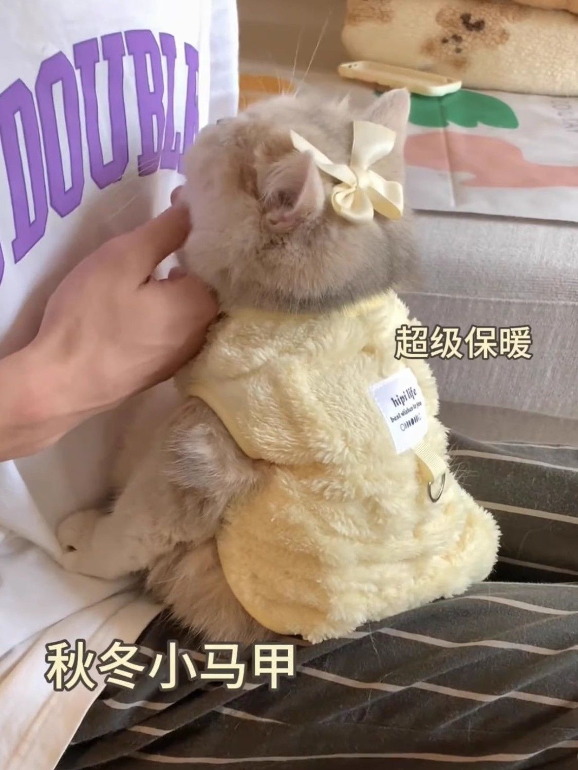 猫咪衣服冬季保暖宠物小幼猫德文棉衣秋装防掉毛可爱公主马甲背心