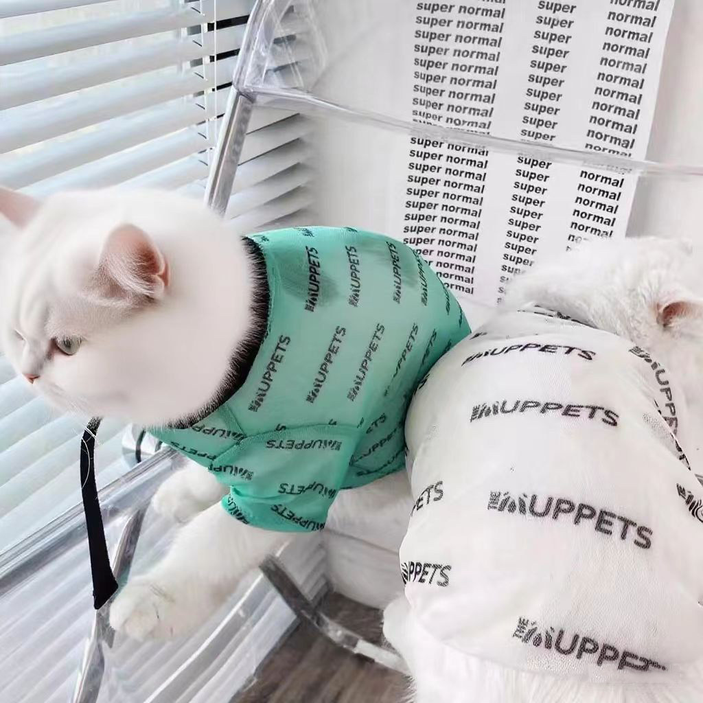 夏天季宠物小狗狗猫咪衣服网眼防晒网防掉毛衣服薄款博美比熊猫猫