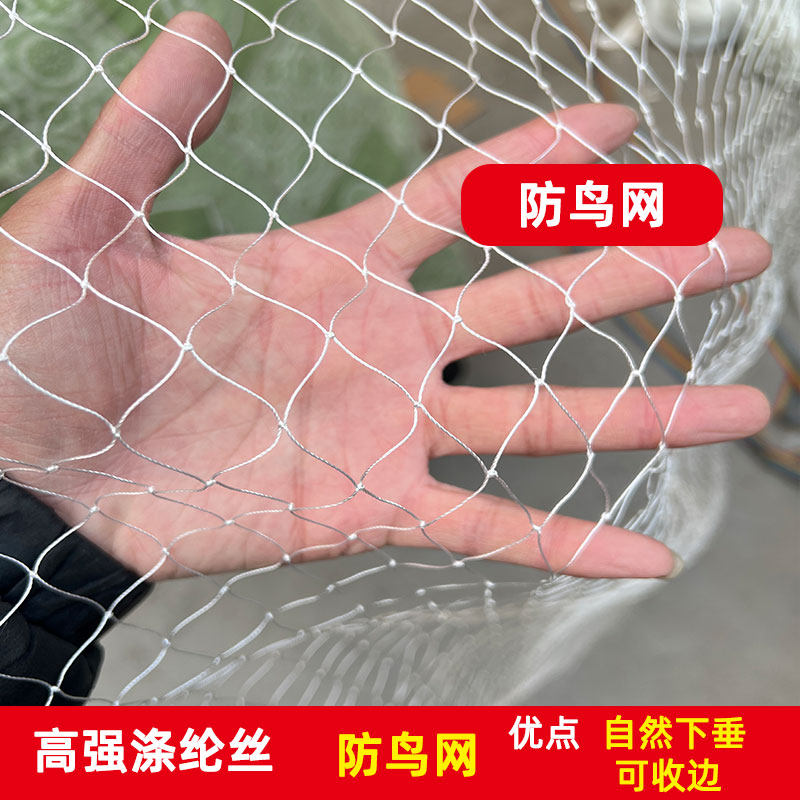 涤纶防鸟网果园大棚防鸟