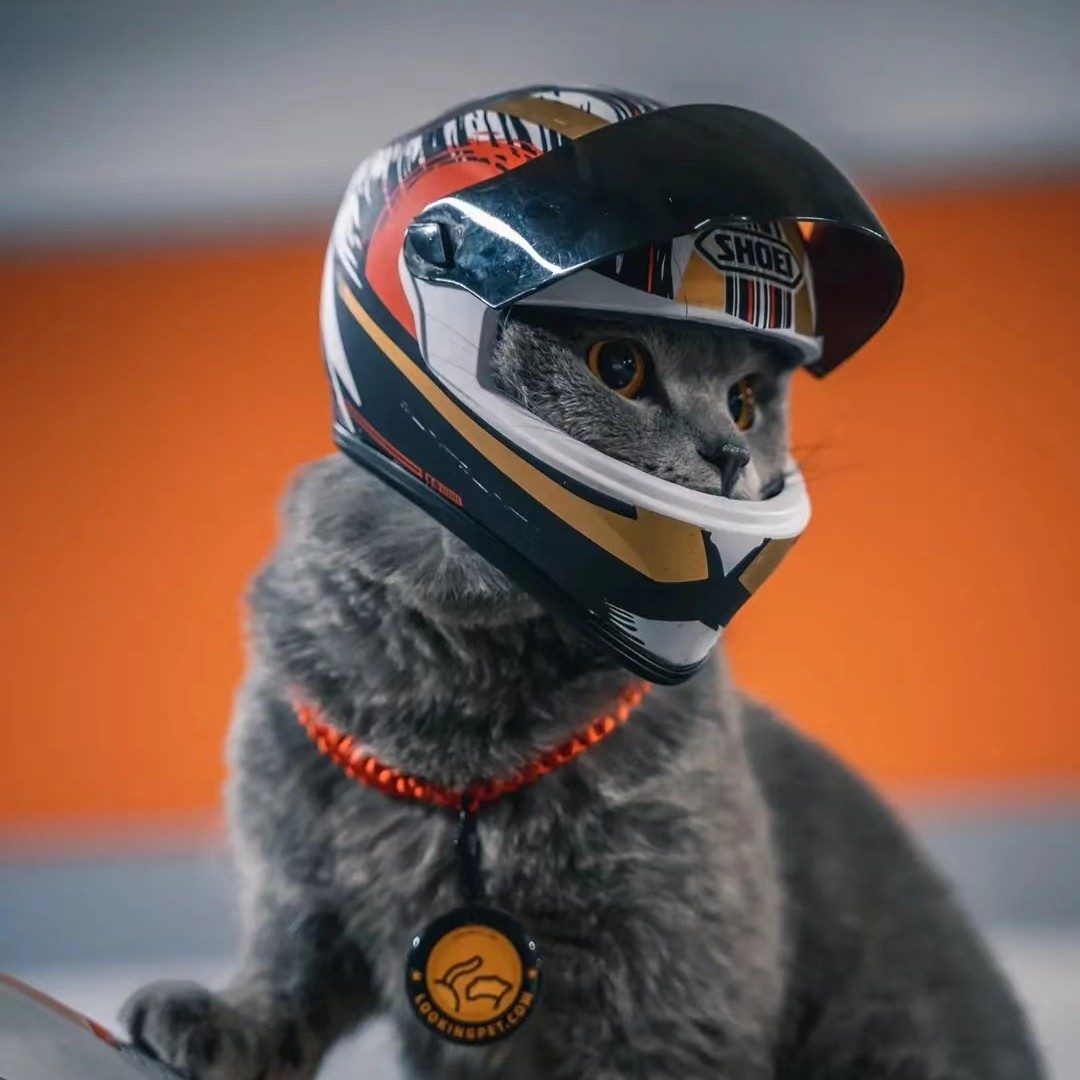 猫咪宠物头盔机车摩托车挂件汽车帽子