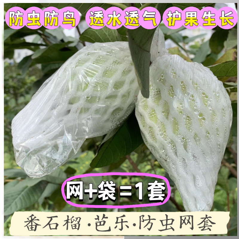 番石榴网套袋水果防虫一体袋树上包芭乐套袋番石榴泡沫网袋保护袋