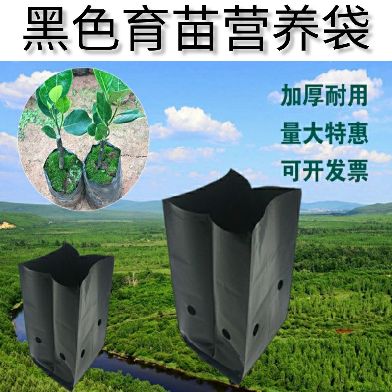 茶树育苗袋一次性果苗袋农用花盆咖啡百香果柠檬树苗槟榔培育袋子