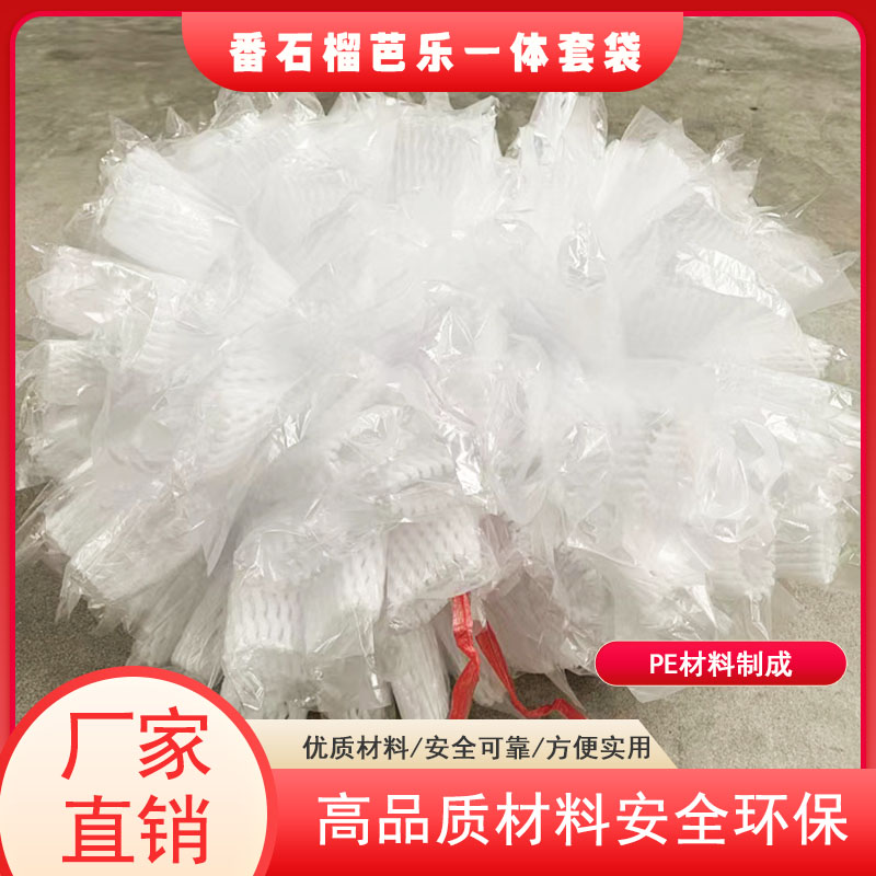 加厚专用番石榴防虫包果袋