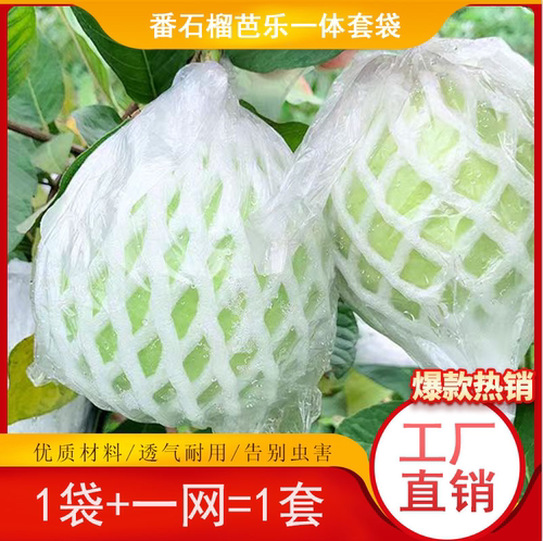 网袋芭乐套袋番石榴防虫包果袋套水果保护袋加厚专用一体防虫套袋