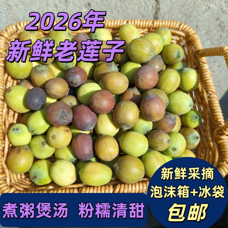 洪湖新鲜老莲子褐色莲子不带蓬乌莲子成熟老莲子2斤3斤4斤包邮
