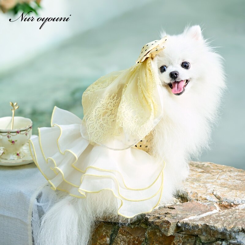 高级感宠物头纱配饰小型犬猫狗