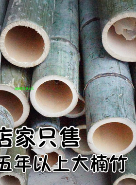 老竹楠竹毛竹大竹子竹节小竹竿老竹料花盆竹筒蒸筒竹材料定做包邮