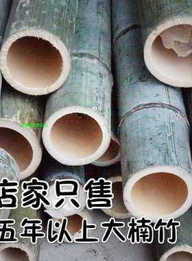 楠竹竹节竹子竹竿花盆大竹子竹竿