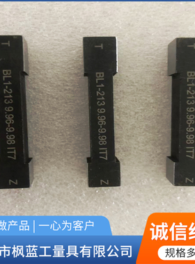 定制 键槽塞规双头槽宽量规N9P9JS9通止规片形塞规测量检验规非标