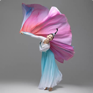 群舞飘逸大摆裙渐变色芙蓉似锦舞蹈表演服装 新款 古典舞演出服女装