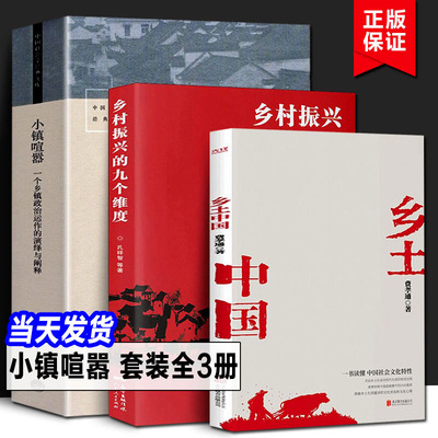 小镇喧嚣+乡土中国+乡村振兴的九个维度 一个乡镇政治运作的演绎与阐释 吴毅著迎检开发收税征地维权故事当代 观察社会学经典文库