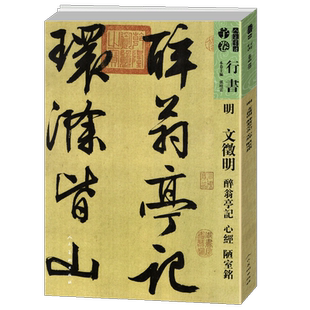【8开111页】明文徵明醉翁亭记 陋室铭人美书谱宇卷行书 碑帖临摹范例教程简体旁注毛笔字帖书法集字行书技法教程书