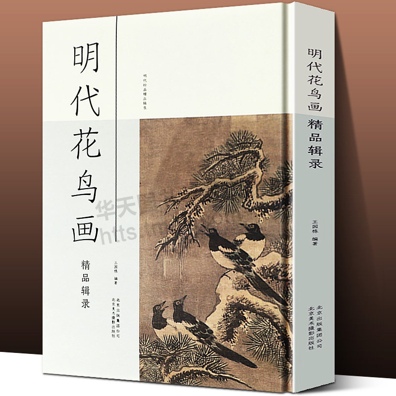 明代花鸟画精品辑录 解读中国古代名画花鸟山水人物水墨工笔画美术鉴赏学习艺术理念基础绘画创作技法临摹教程书籍王国栋手绘入门