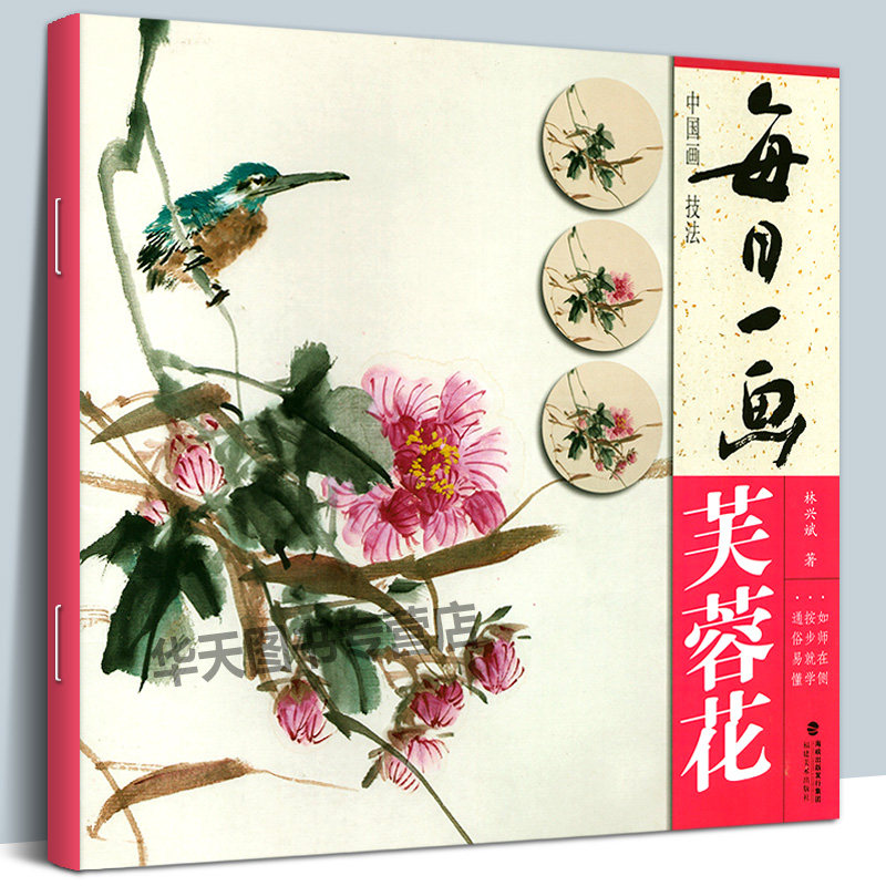 教程书写意水墨画花鸟册页 工笔画花卉技法画法大全集教材 国画初学者